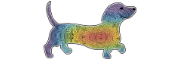 DachZen Designs